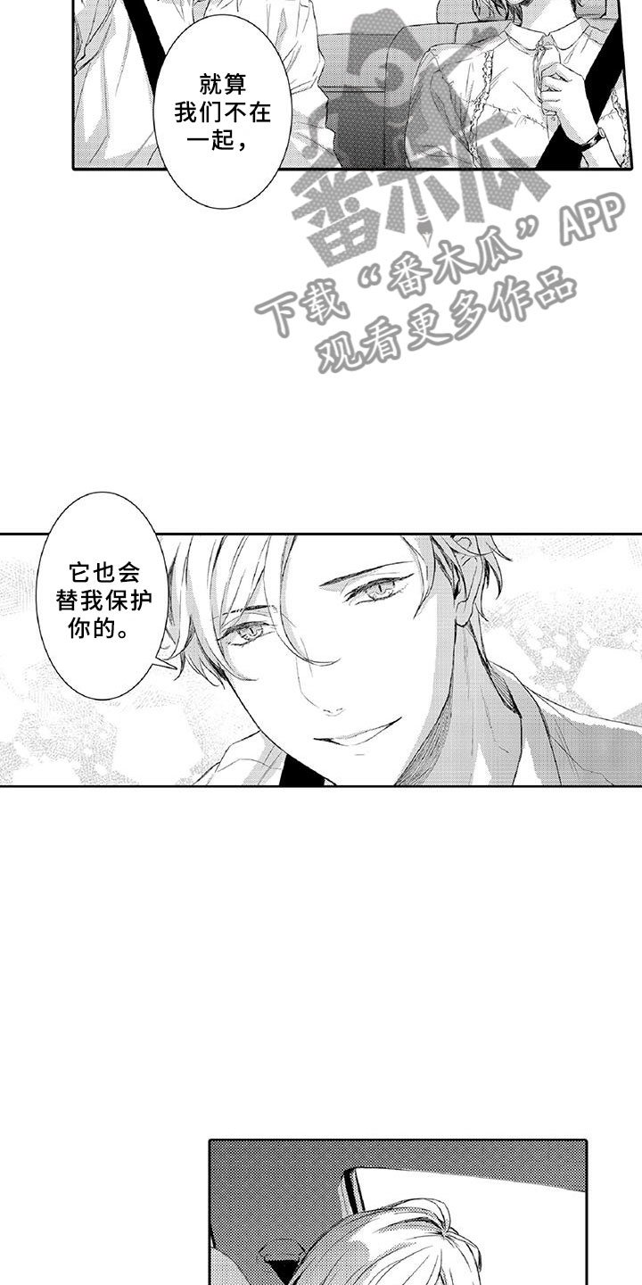 第6章：小猫