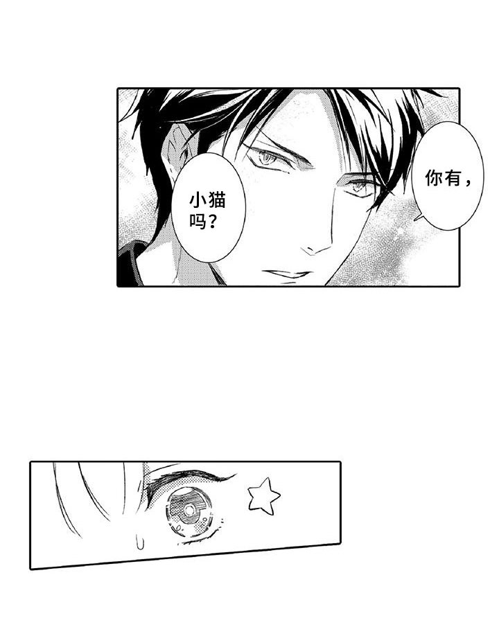 第6章：小猫