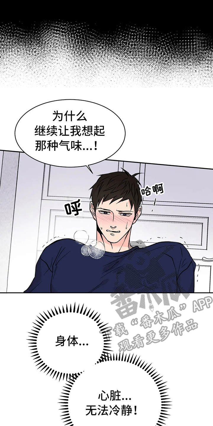 第12章：气味