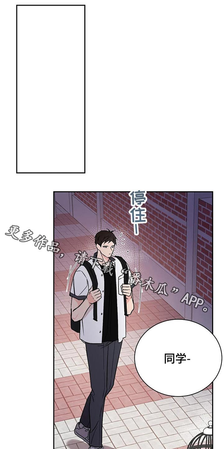 第28章：鹦鹉