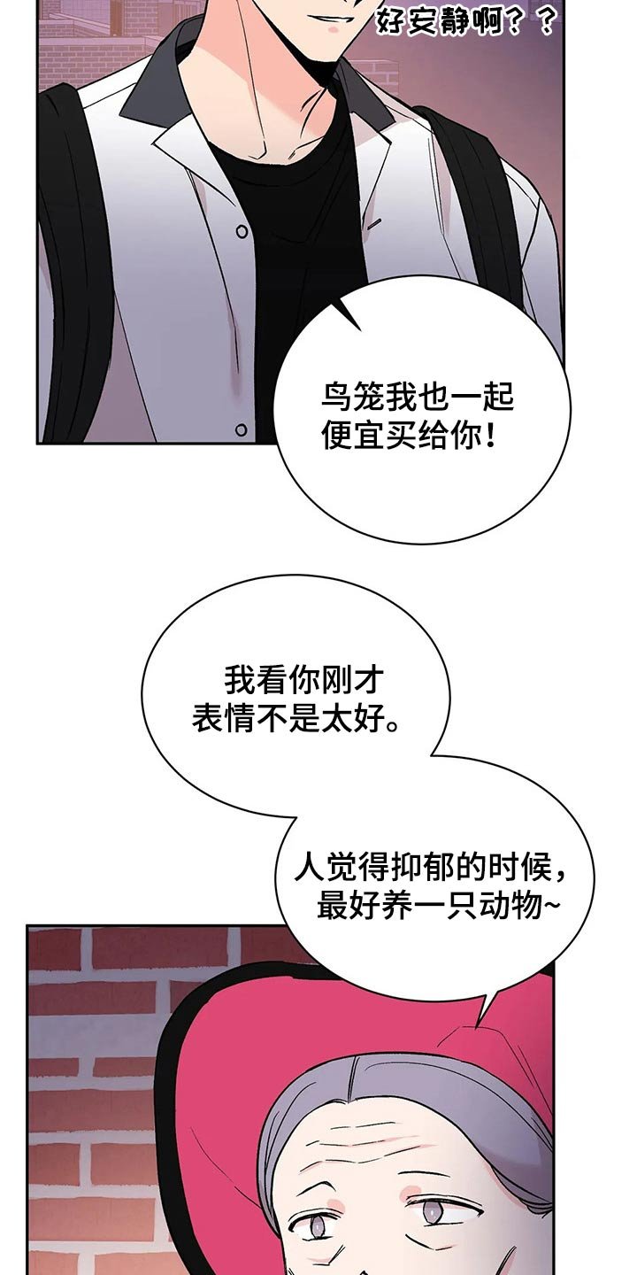 第28章：鹦鹉