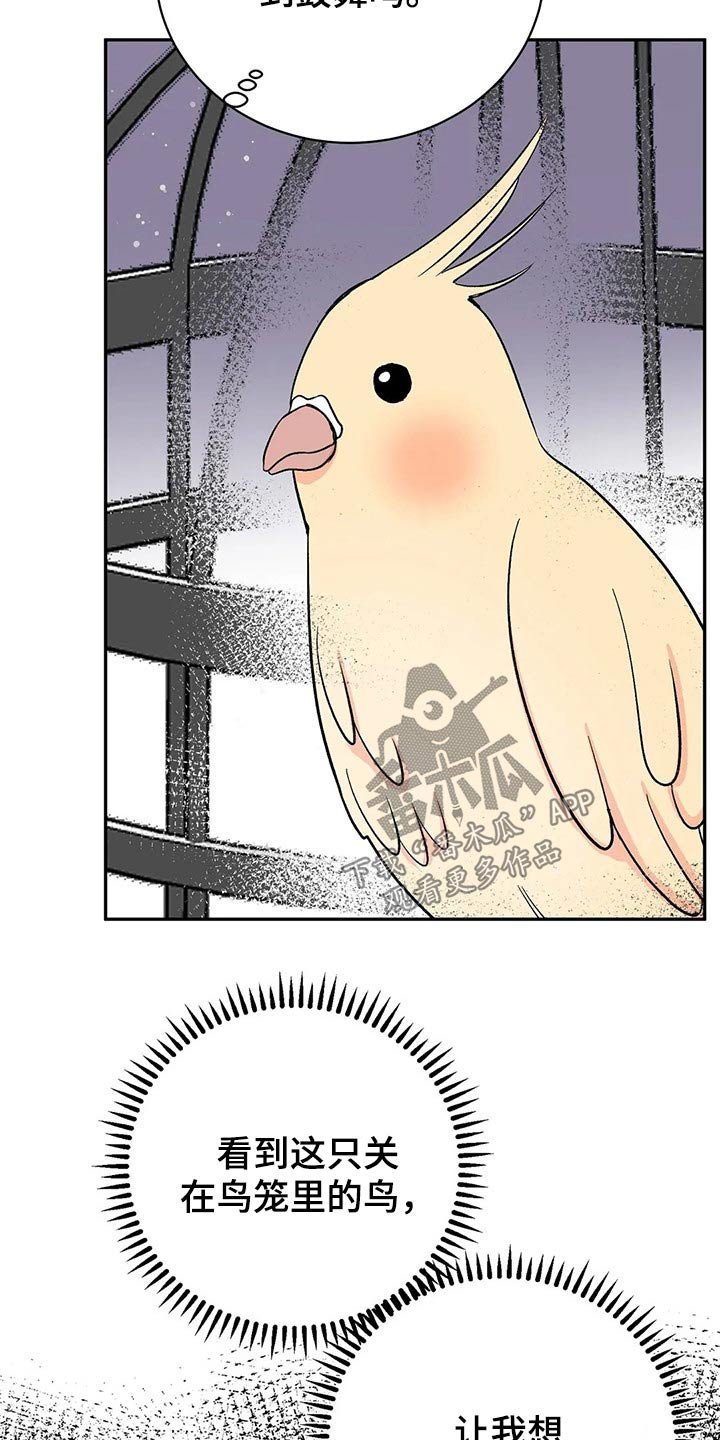 第28章：鹦鹉