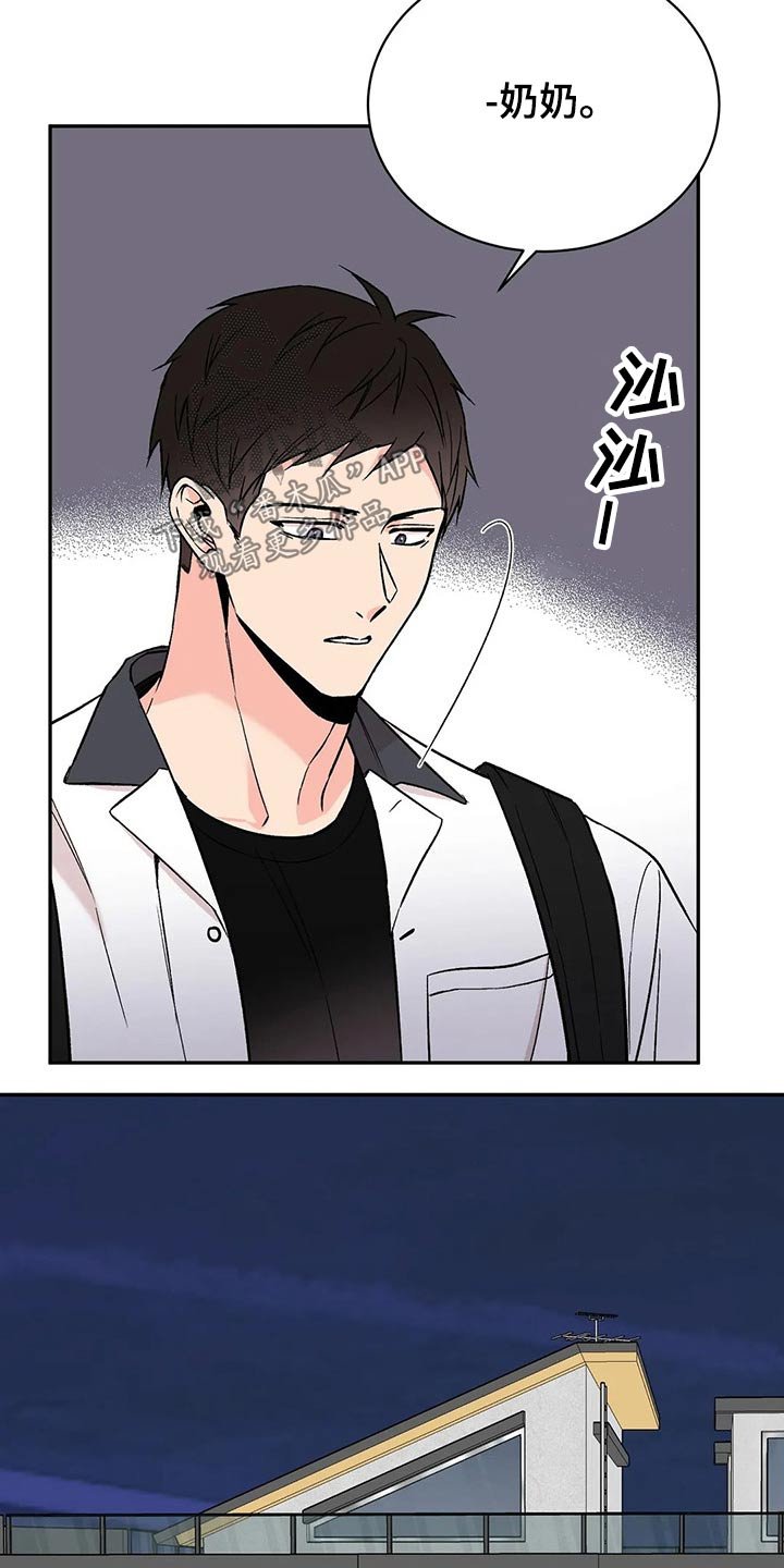 第28章：鹦鹉
