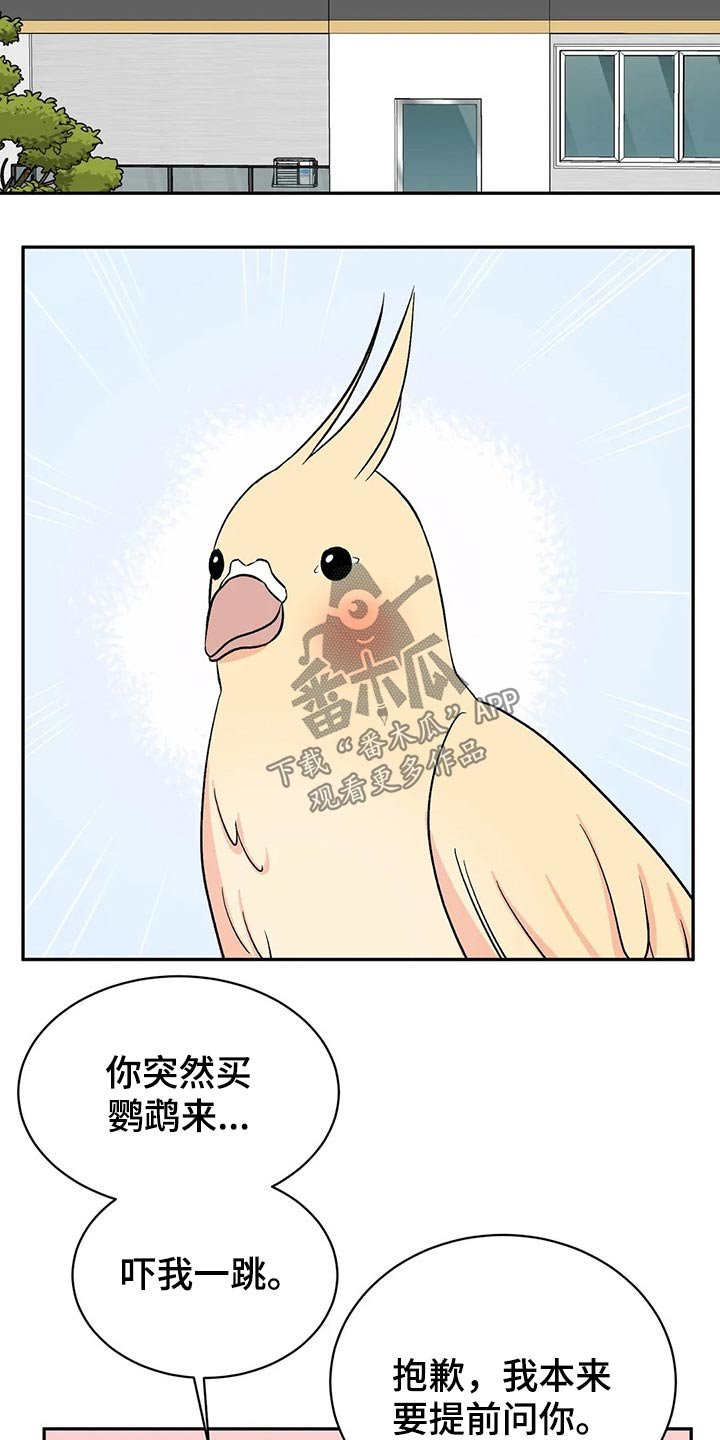 第28章：鹦鹉