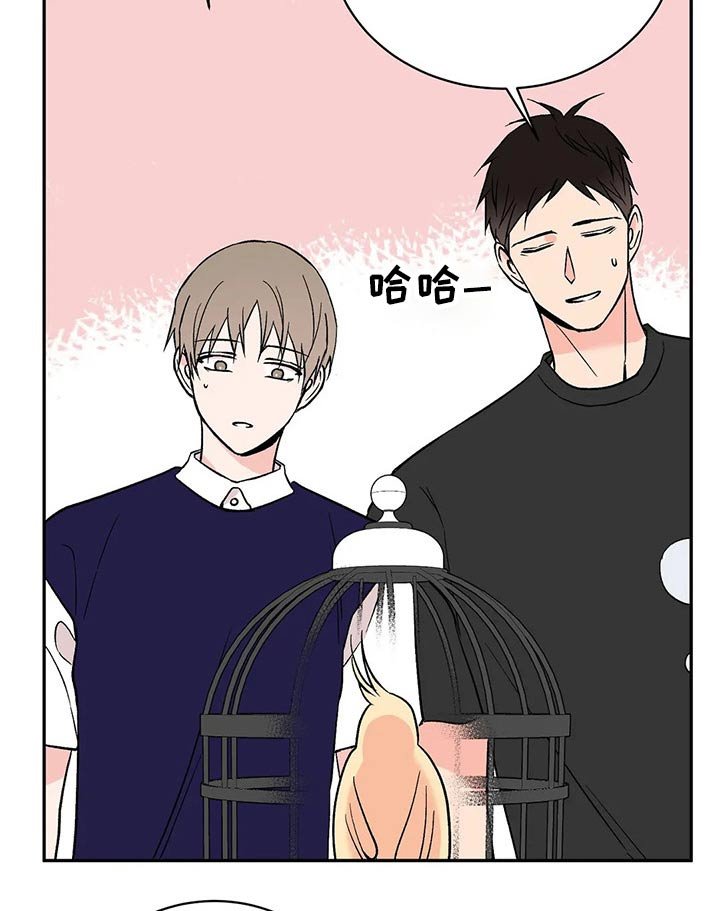 第28章：鹦鹉