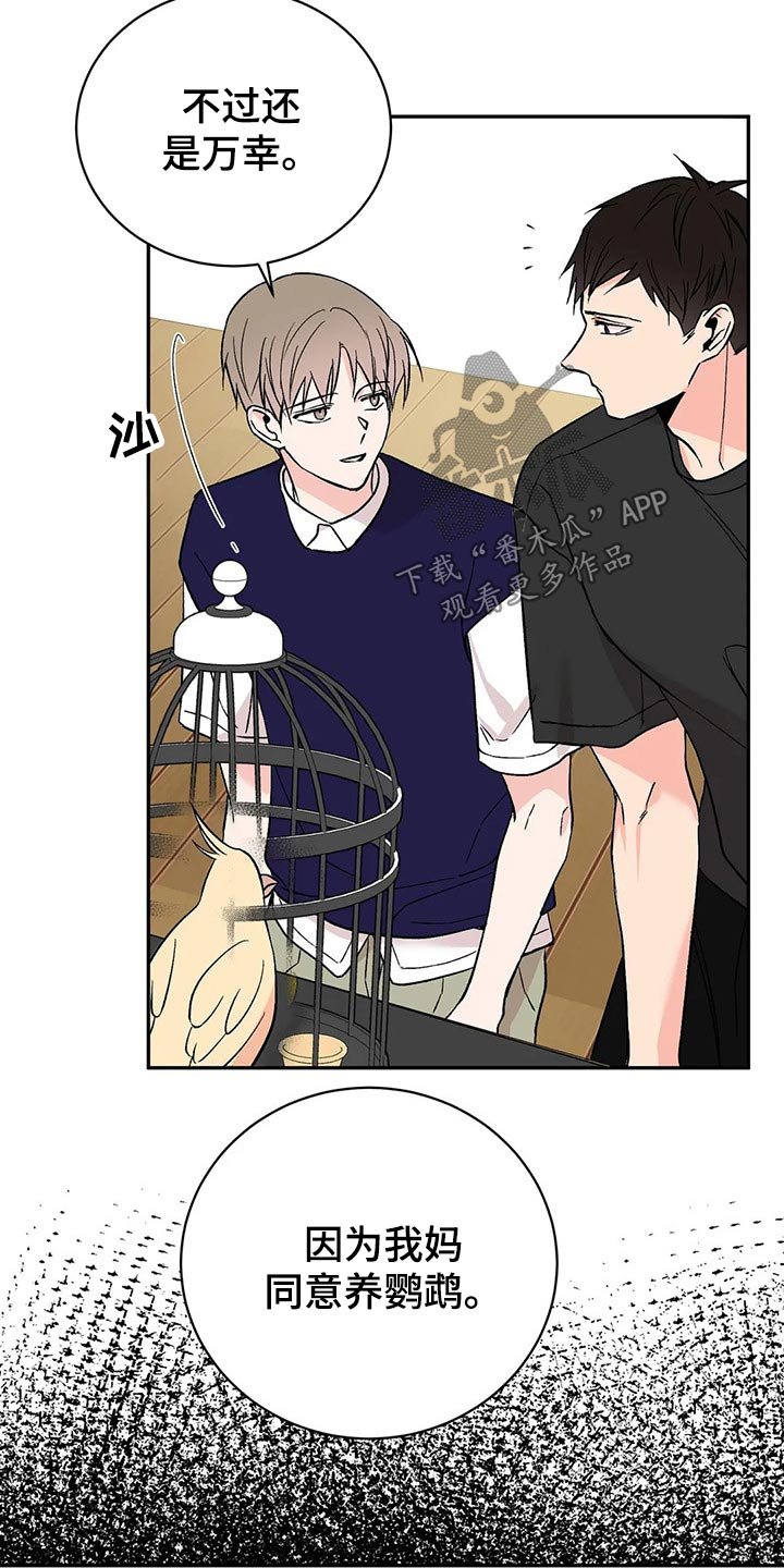 第28章：鹦鹉