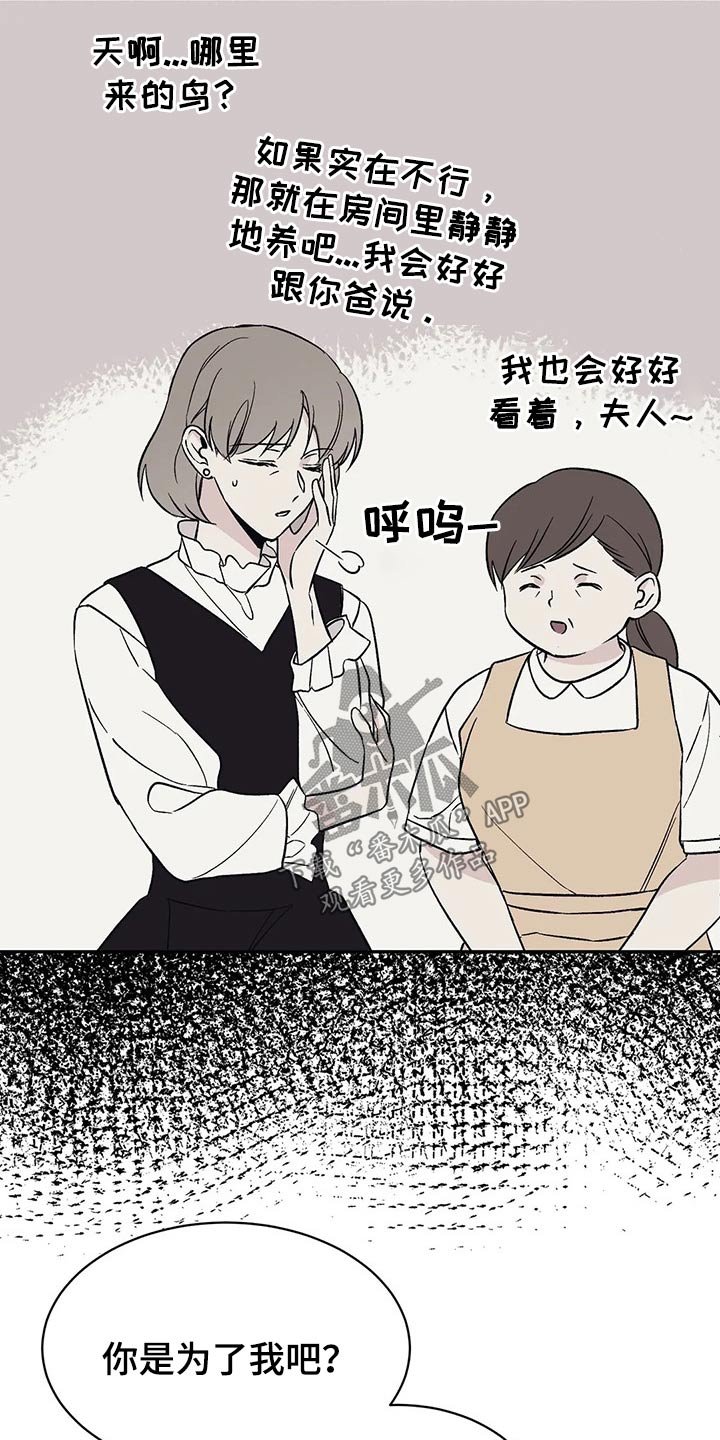 第28章：鹦鹉