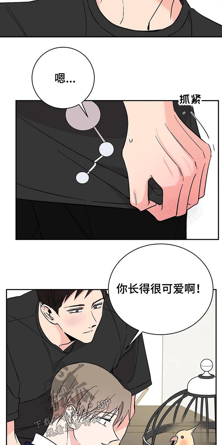 第28章：鹦鹉