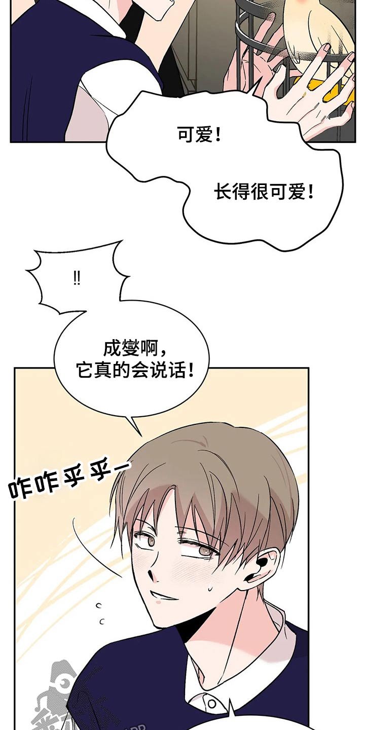 第28章：鹦鹉