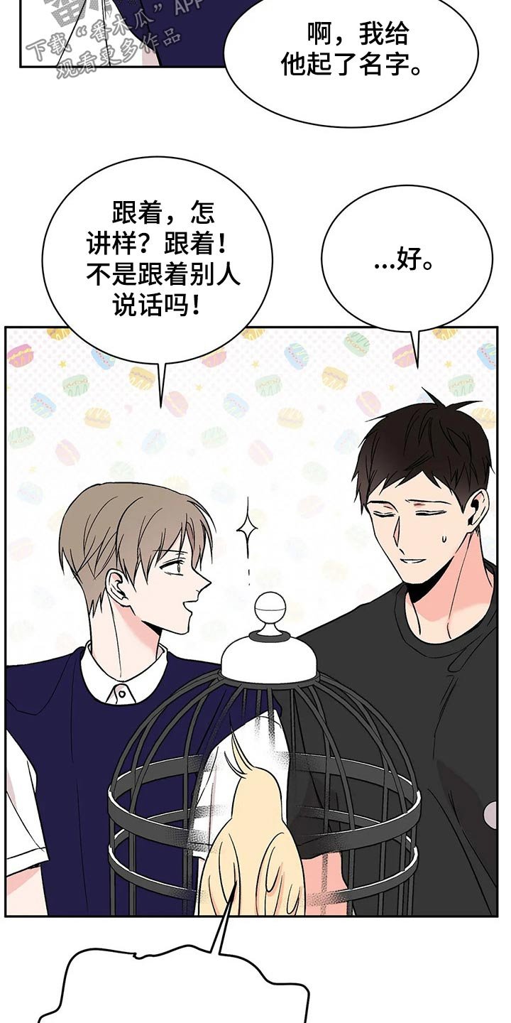 第28章：鹦鹉