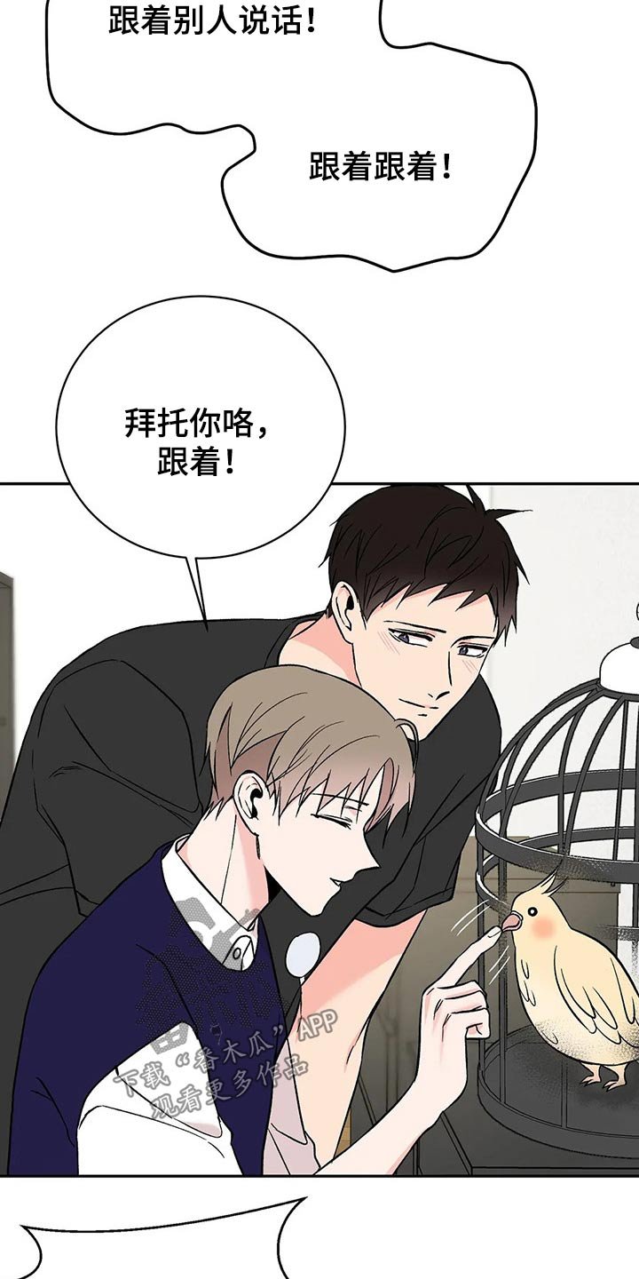 第28章：鹦鹉