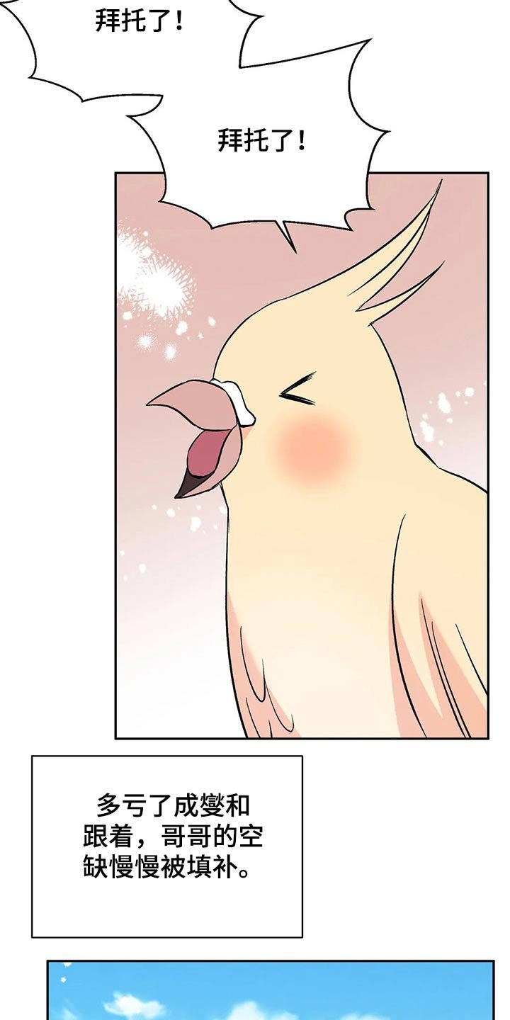 第28章：鹦鹉