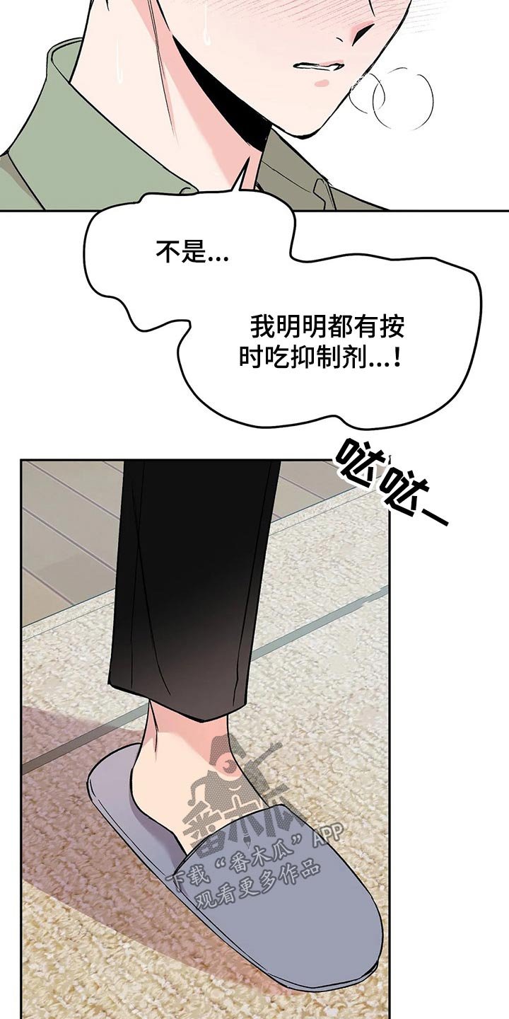 第28章：鹦鹉