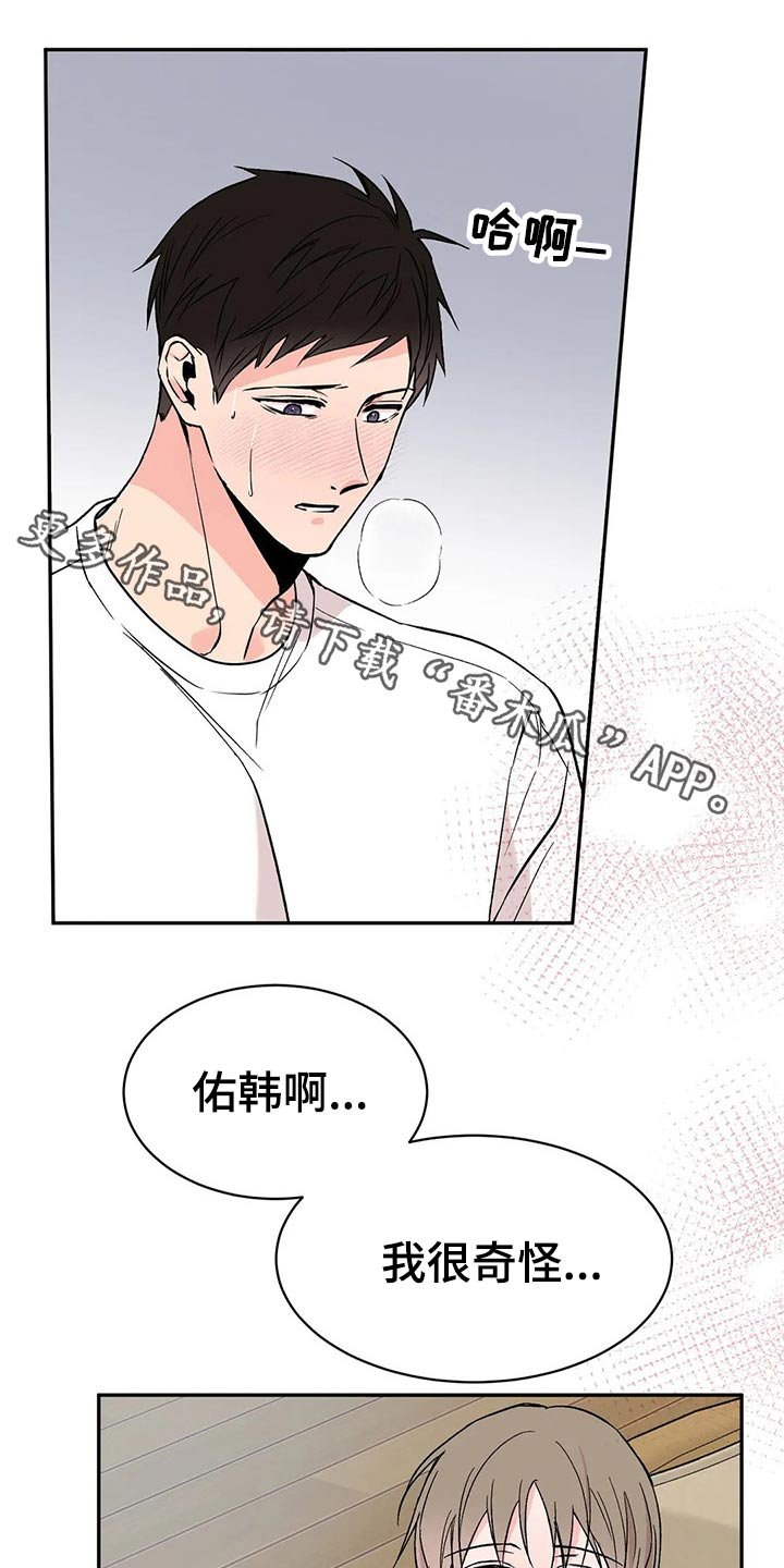 第29章：信息素