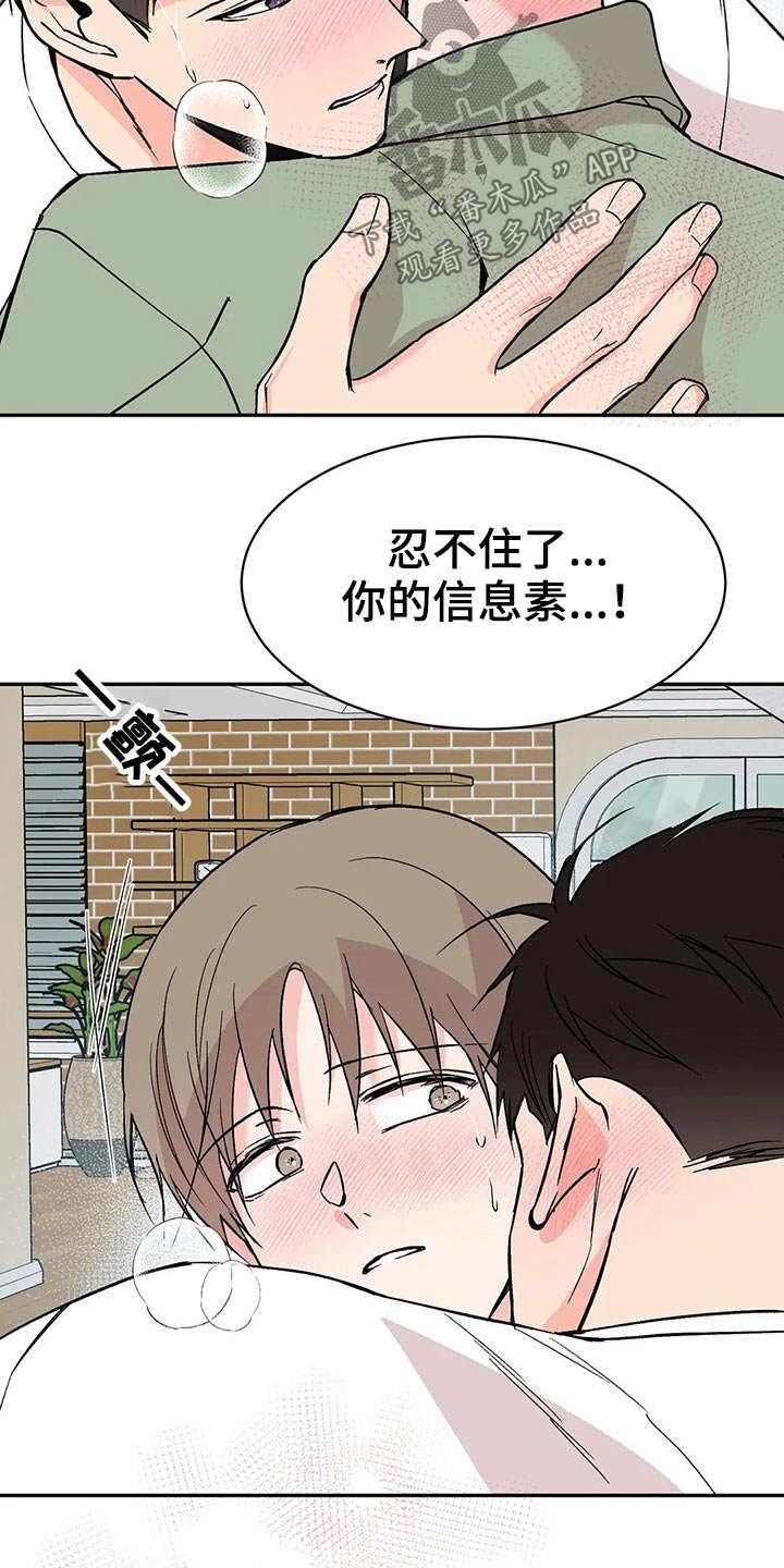 第29章：信息素