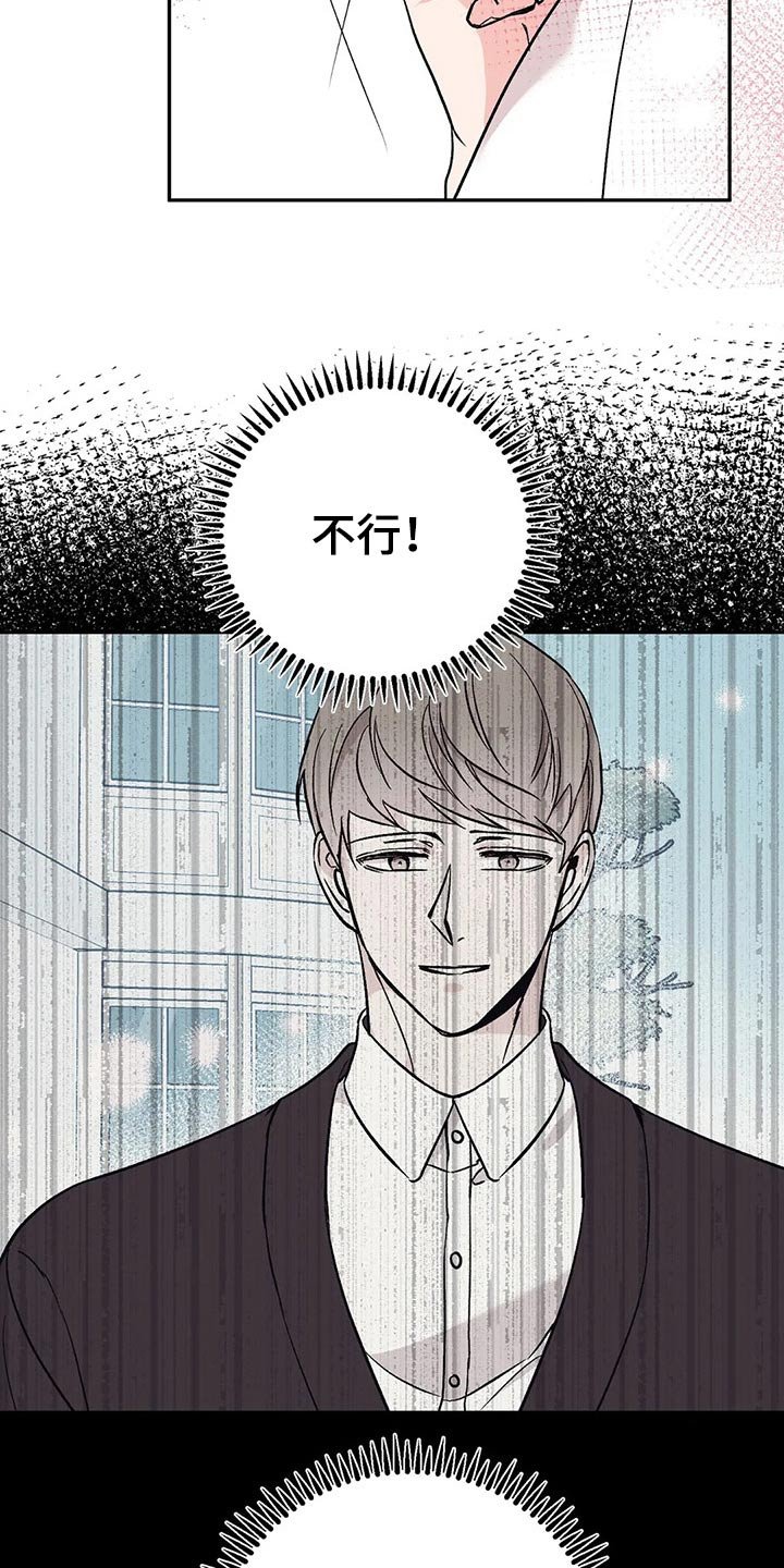第29章：信息素