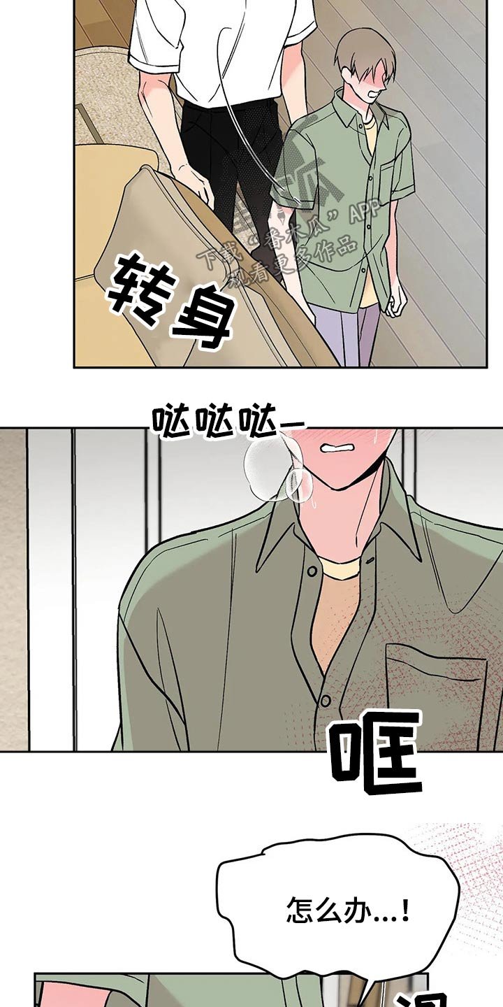 第29章：信息素