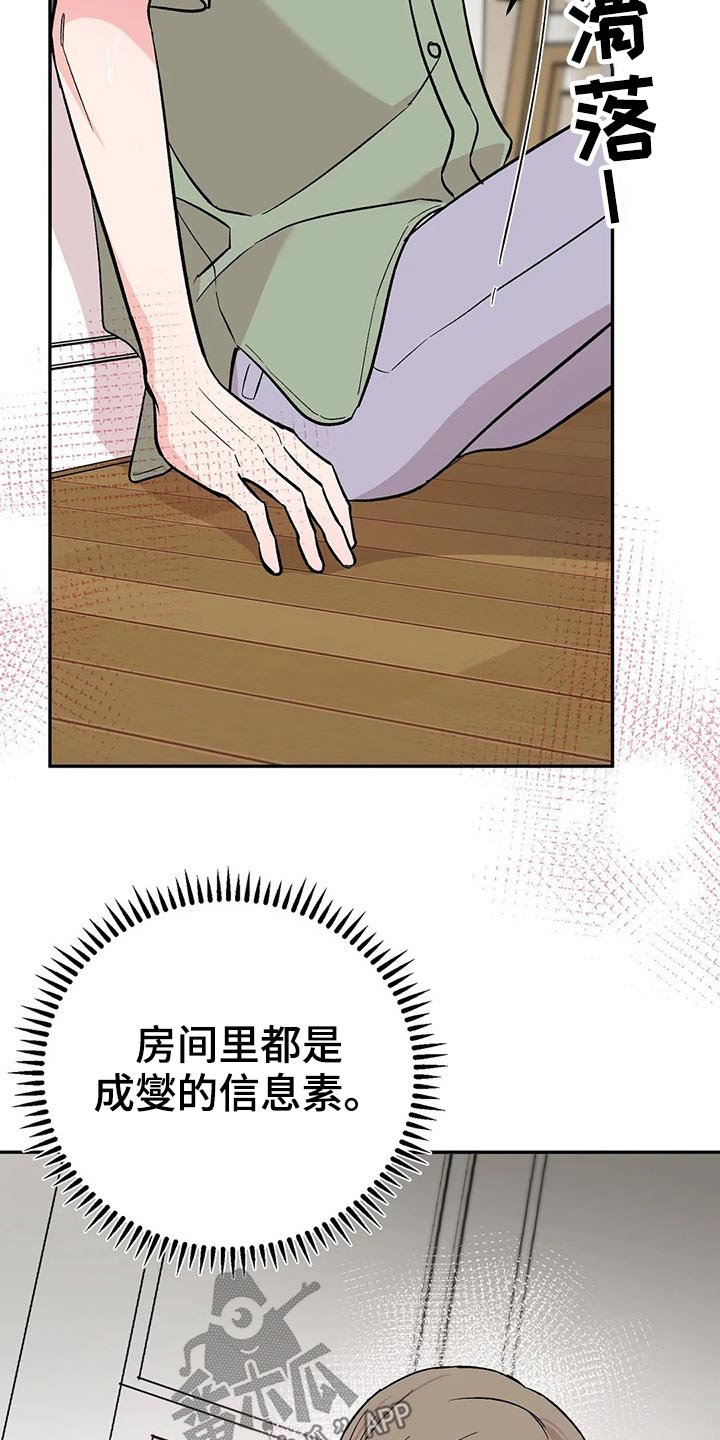 第29章：信息素