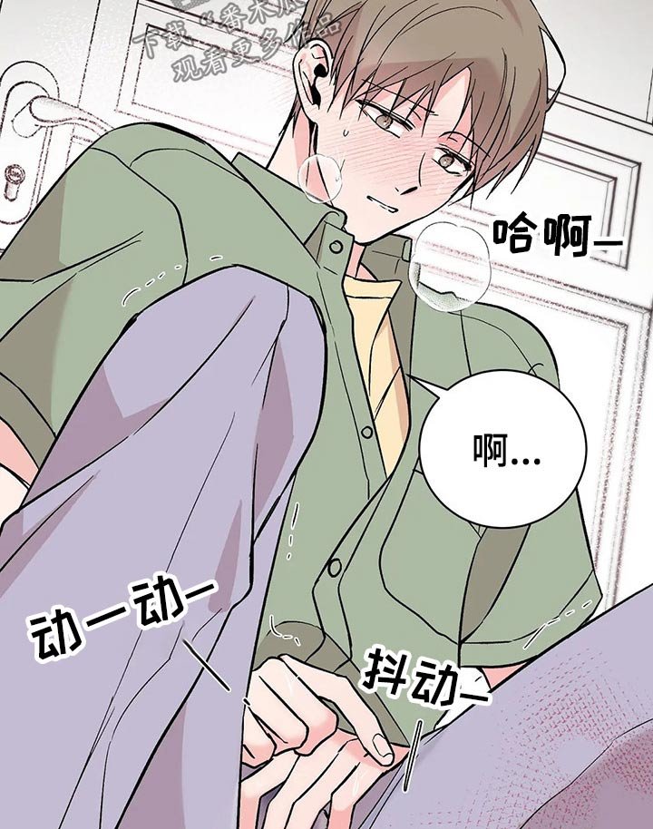 第29章：信息素