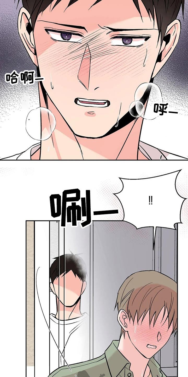 第29章：信息素