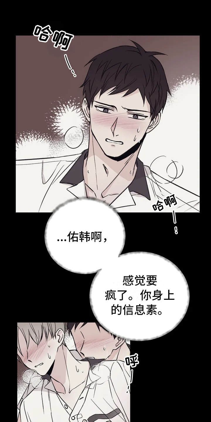 第3章：信息素