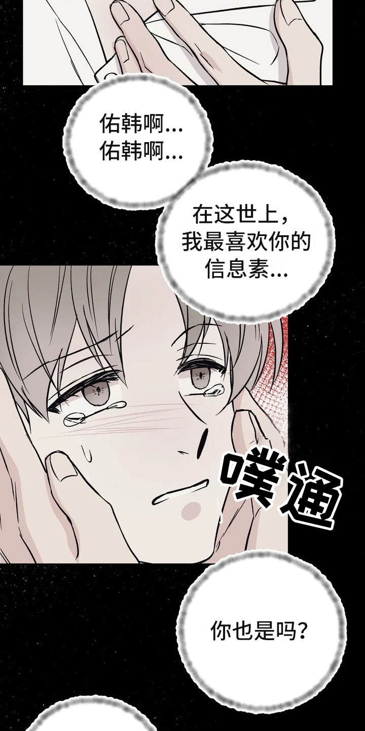 第3章：信息素
