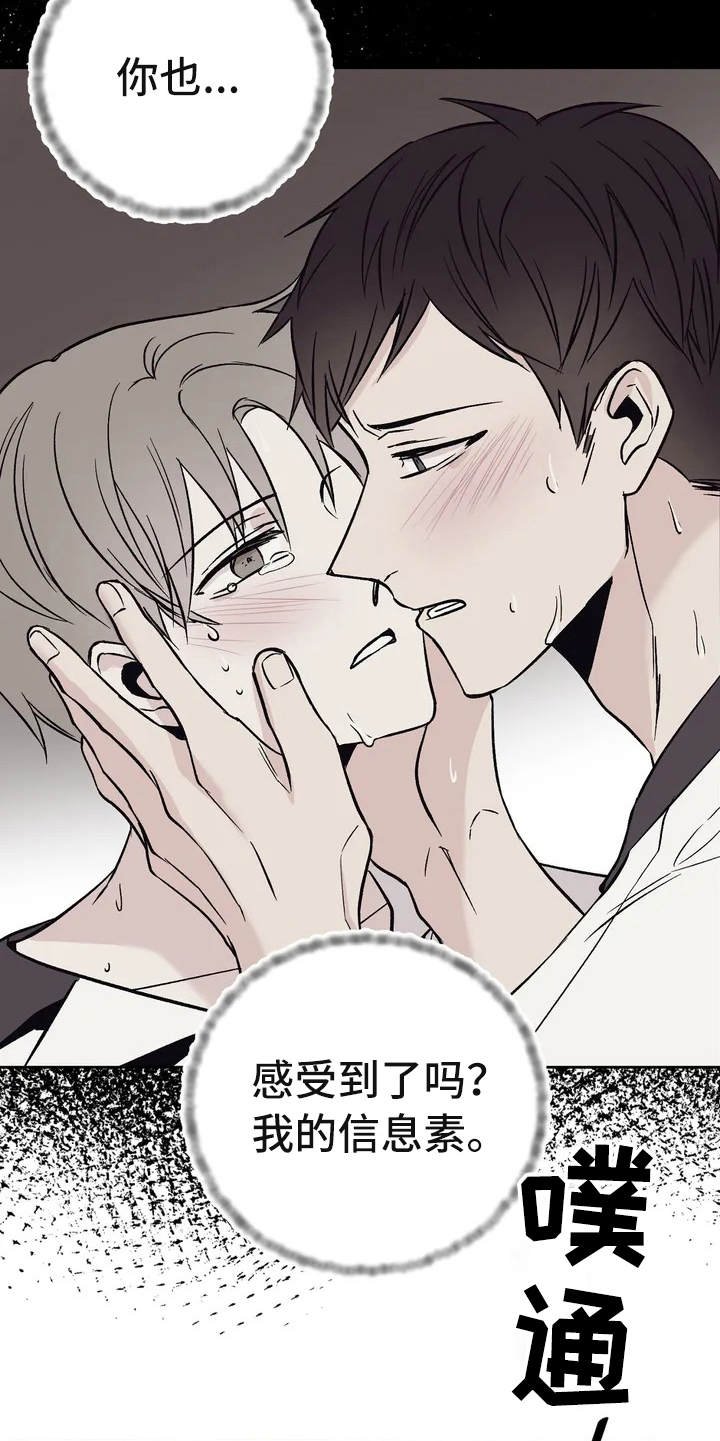 第3章：信息素