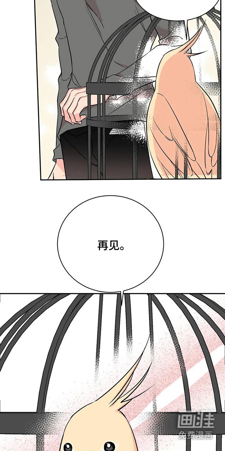 第44章：再见