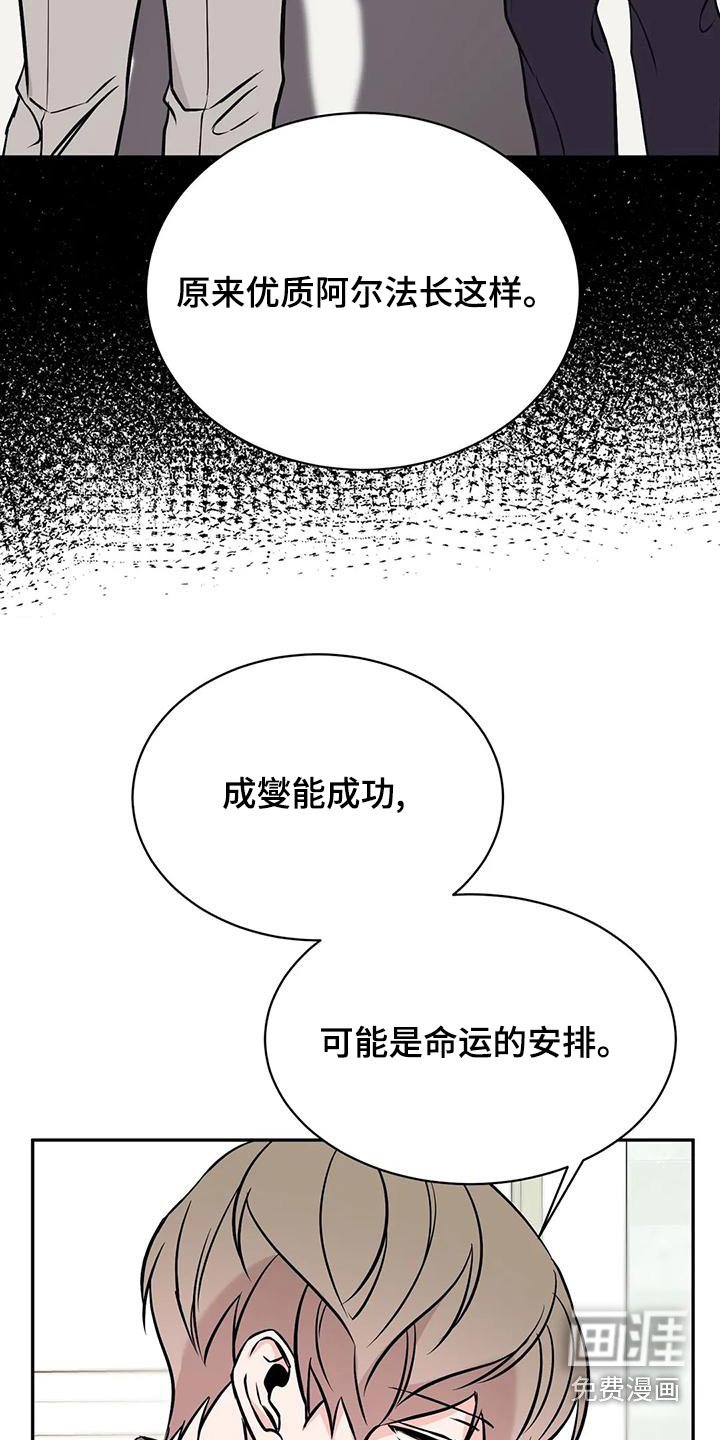 第56章：错觉