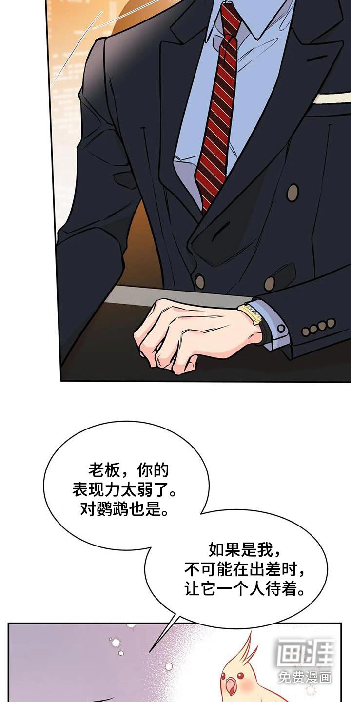 第65章：安排