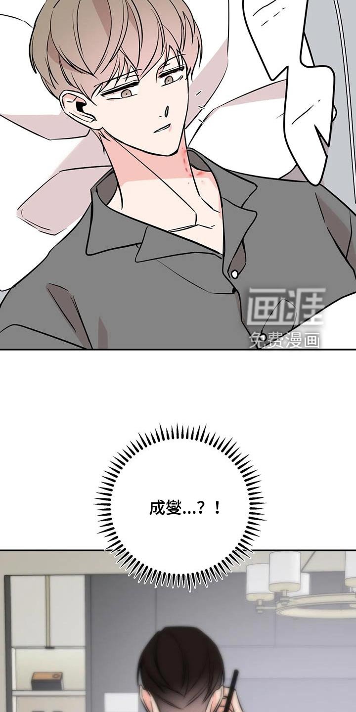 第76章：执行