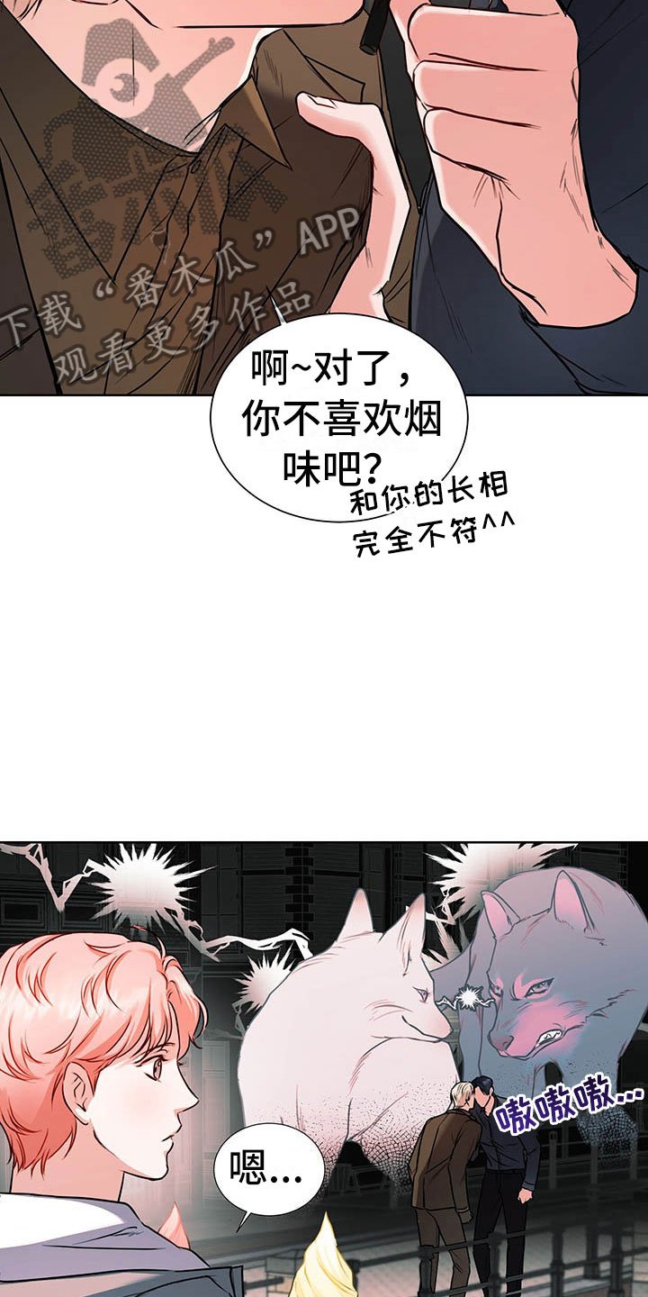 第4章：桃子味