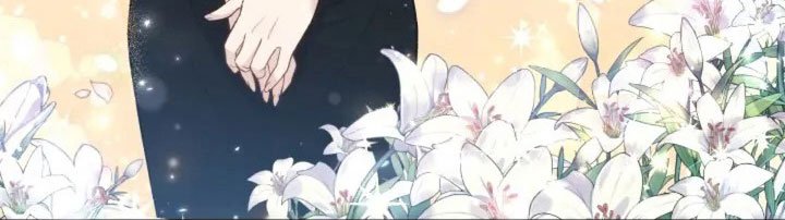 第1章：再次相遇