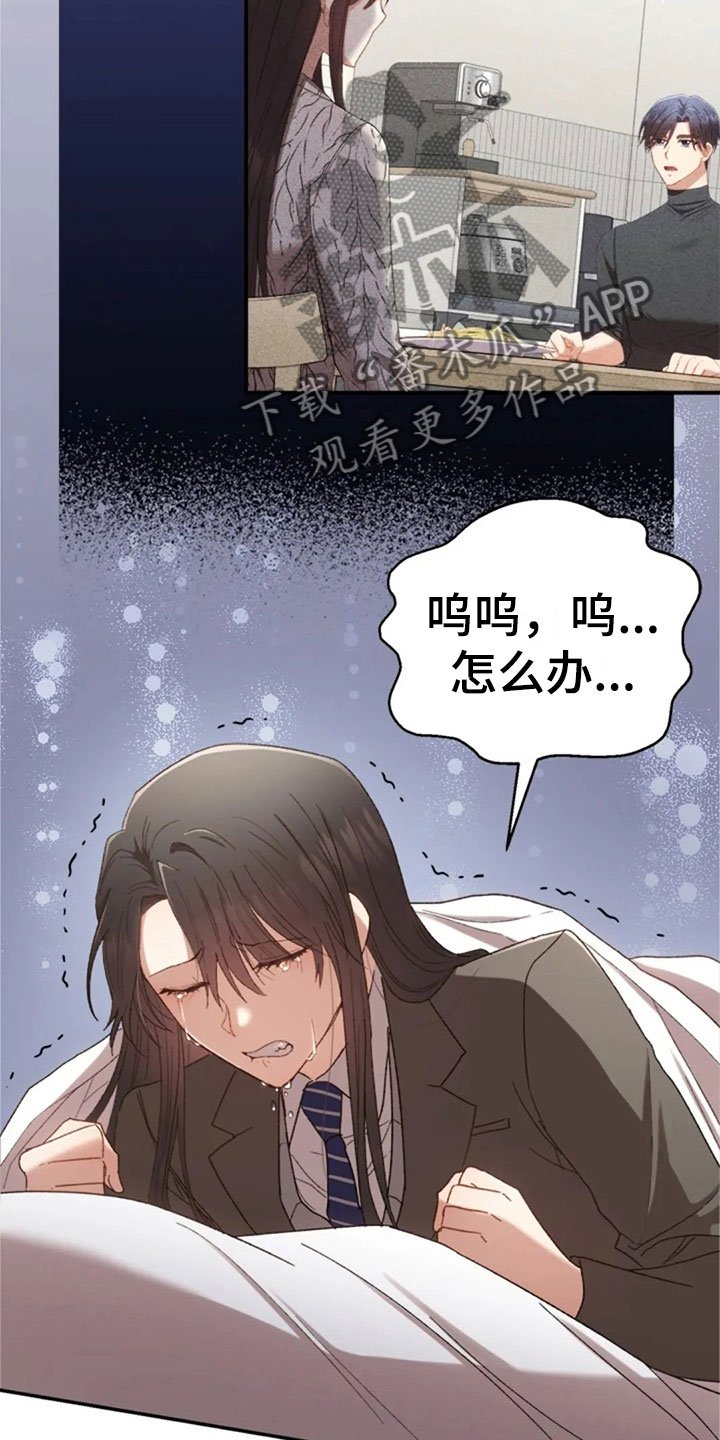 第12章：伤心的佳贤