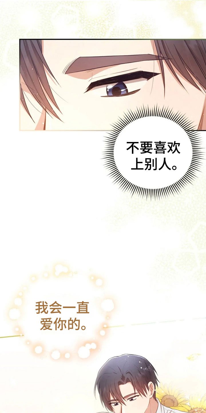 第29章：明年也会