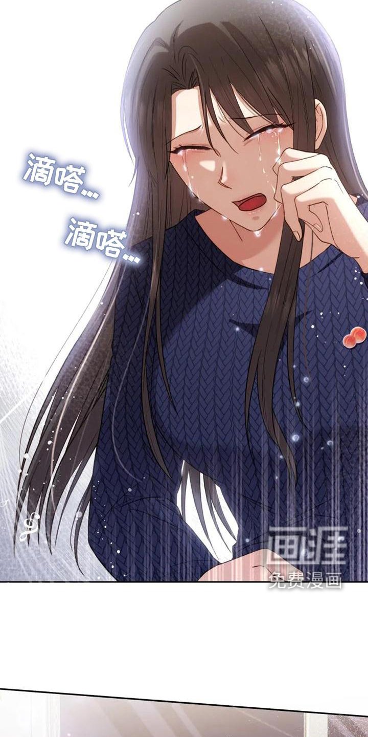 第46章：流星