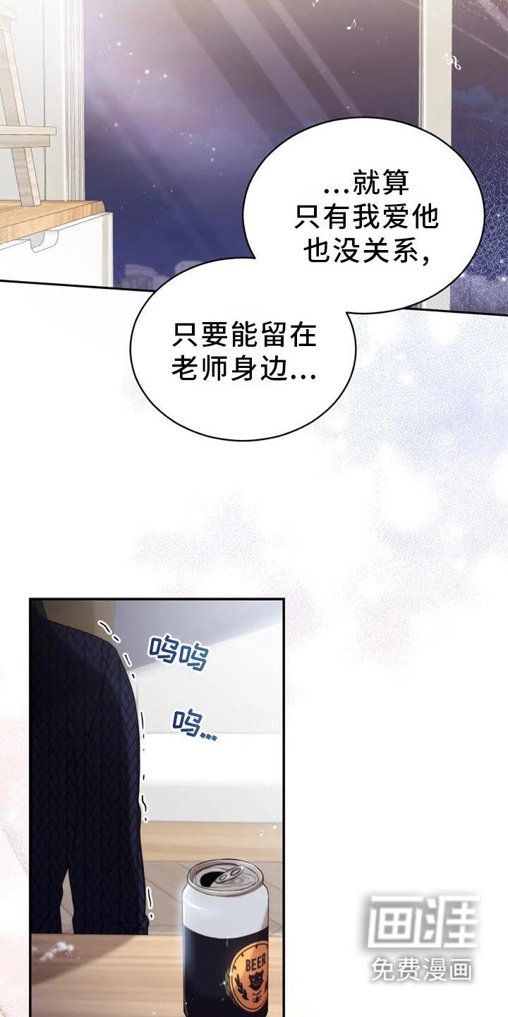 第46章：流星