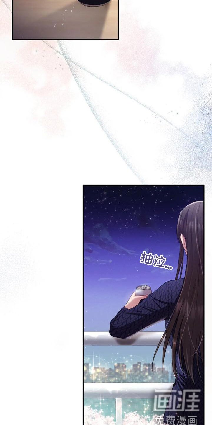 第46章：流星