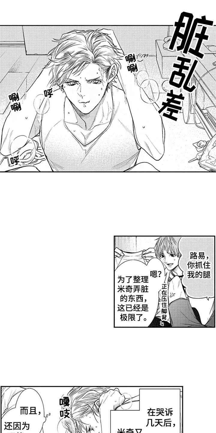 第14章：表明心意