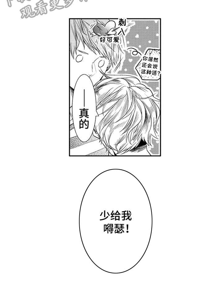 第15章：妥协