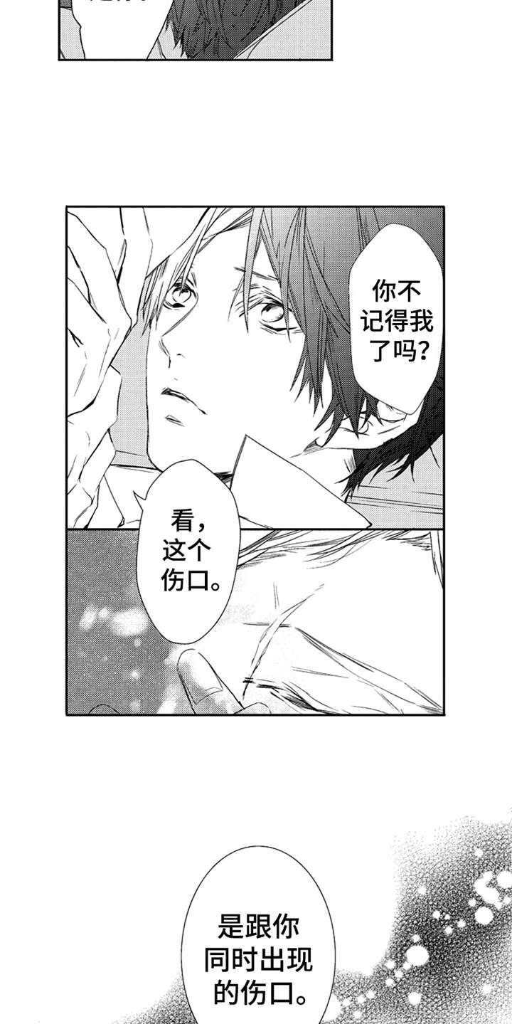 第4章：伤口