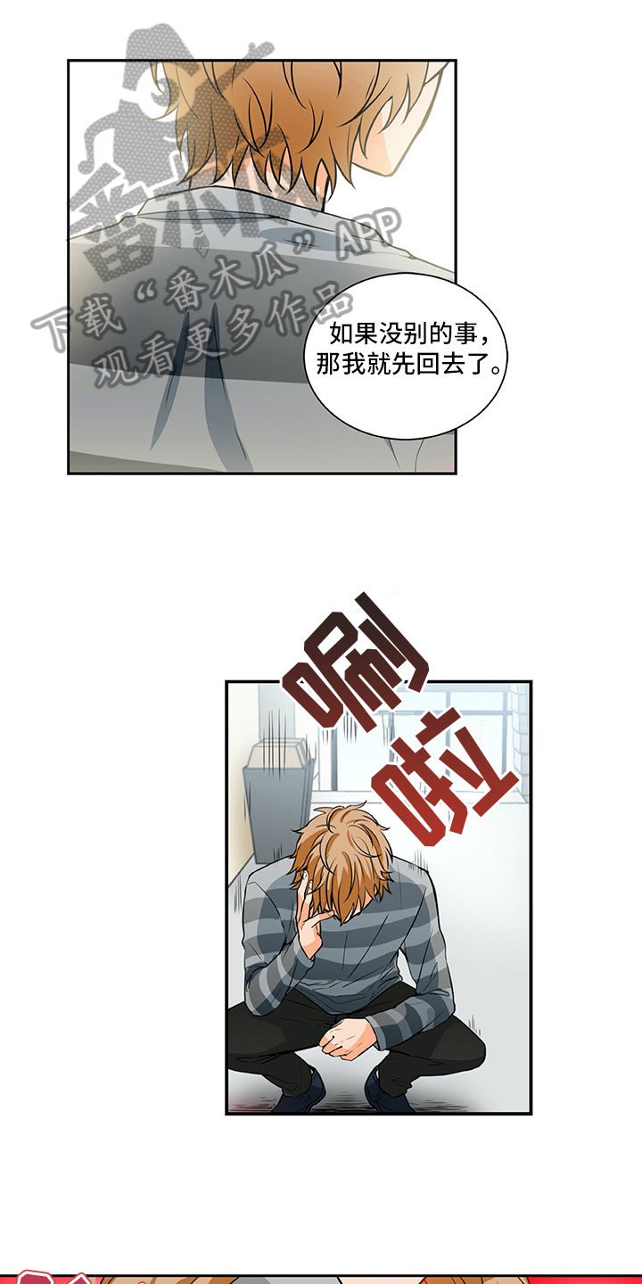第19章：解释