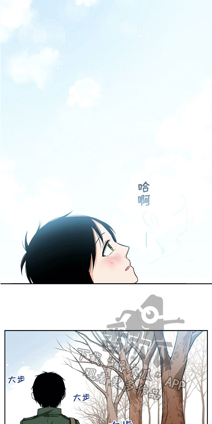第19章：解释