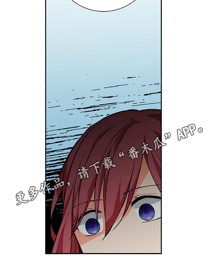 第19章：解释