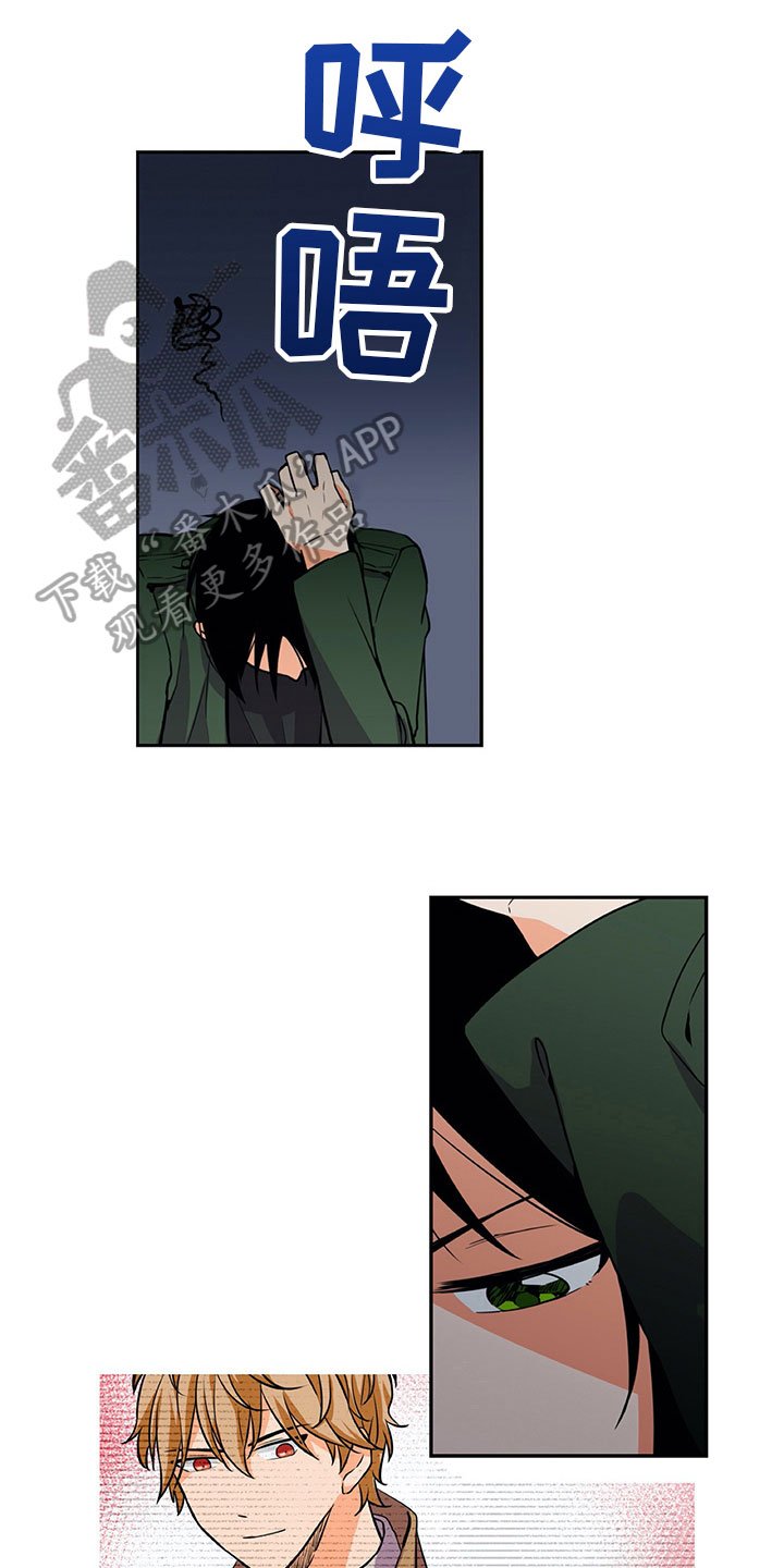 第21章：咨询