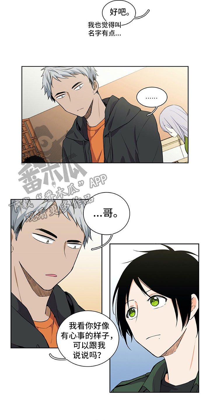 第21章：咨询