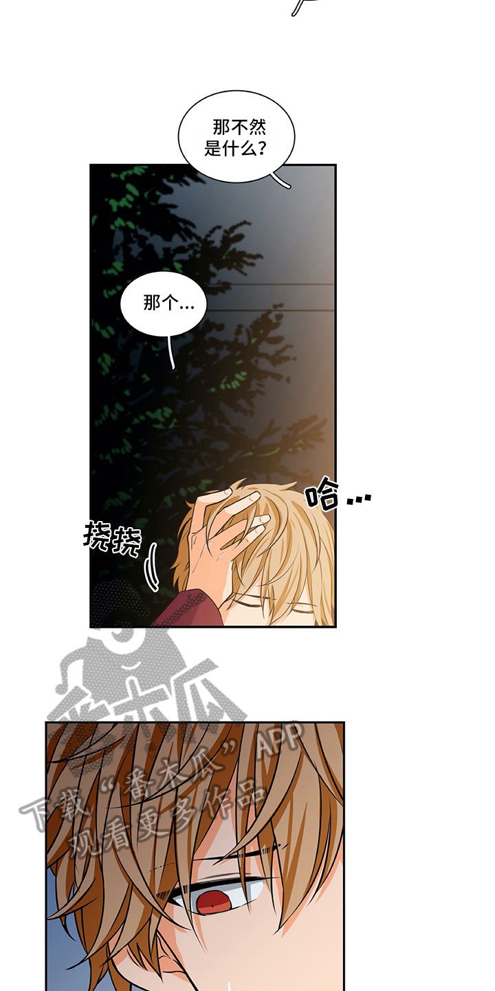 第25章：酒后表白