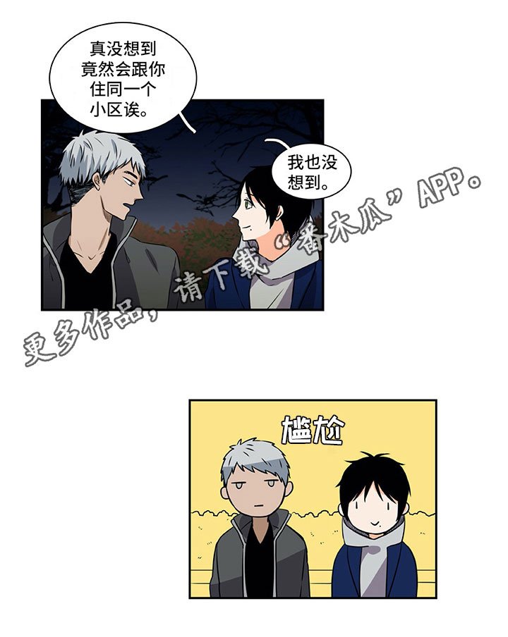 第29章：巧遇