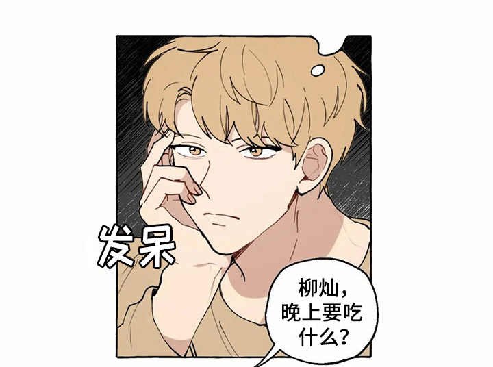 第11章：解释
