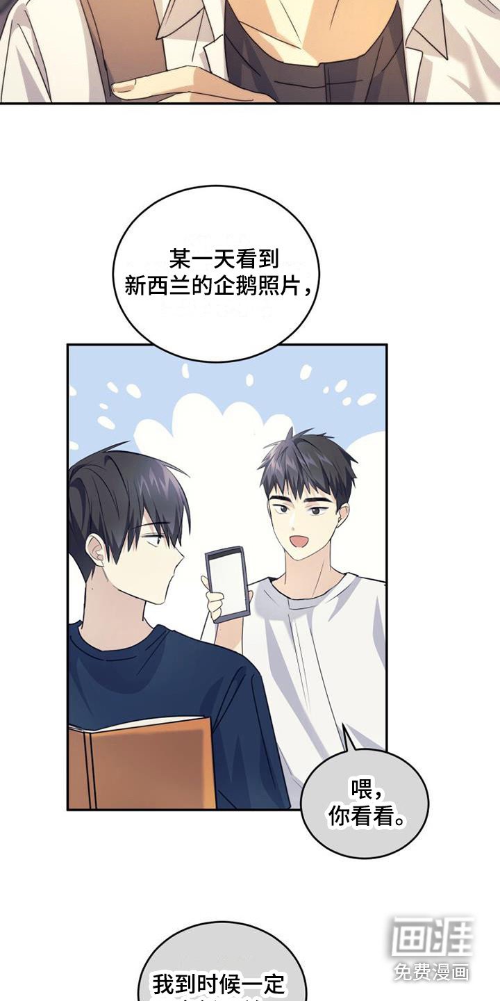 第29章：朋友